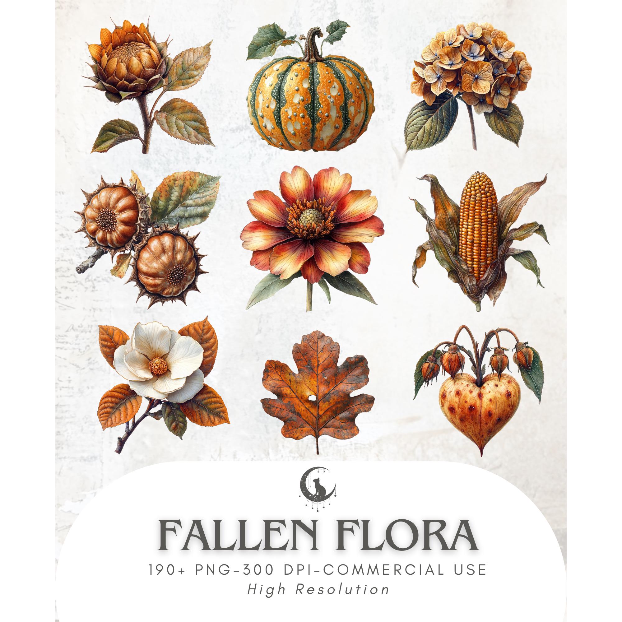 Autumn Botanical Clipart Bundle Fall Flowers and Plants PNG With ...
