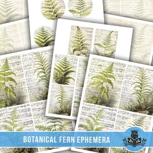 Éphémères pour le journal indésirable, éphémères botaniques, cartes de journal indésirable, fougères botaniques, journal imprimable indésirable, téléchargement numérique