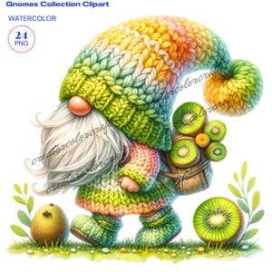 Kiwi Gnome Clipart, Banana Gnome png graphics, Garden Clipart, Spring gnome png, Gnome With Flowers,Summer gnome png,Junk Journal,Chef gnome