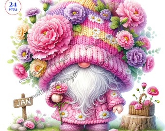 Birth Month Flower Gnome Watercolor Clipart, Birth Month Flower, Carnation Gnomes Clipart,Flowers Gnomes PNG,Garden clipart,Spring gnome png
