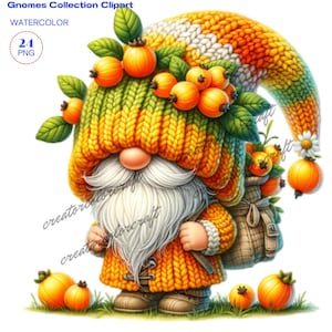 Kap Stachelbeere Gartenzwerg, Gartenzwerg, Gartenzwerg, Gartenzwerg, Gartenzwerg, Gartenzwerg, Gartenzwerg, Gartenzwerg, Gartenzwerg, Gartenzwerg