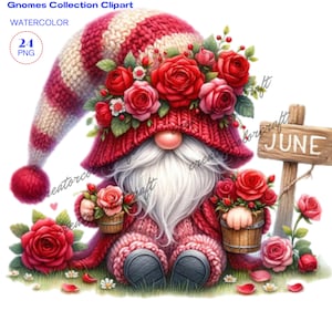 Clipart acquerello gnomo fiore mese di nascita, gnomi rosa, gnomi fiori, clipart giardino, gnomo primavera png, clipart gnomo San Valentino, gnomo estate