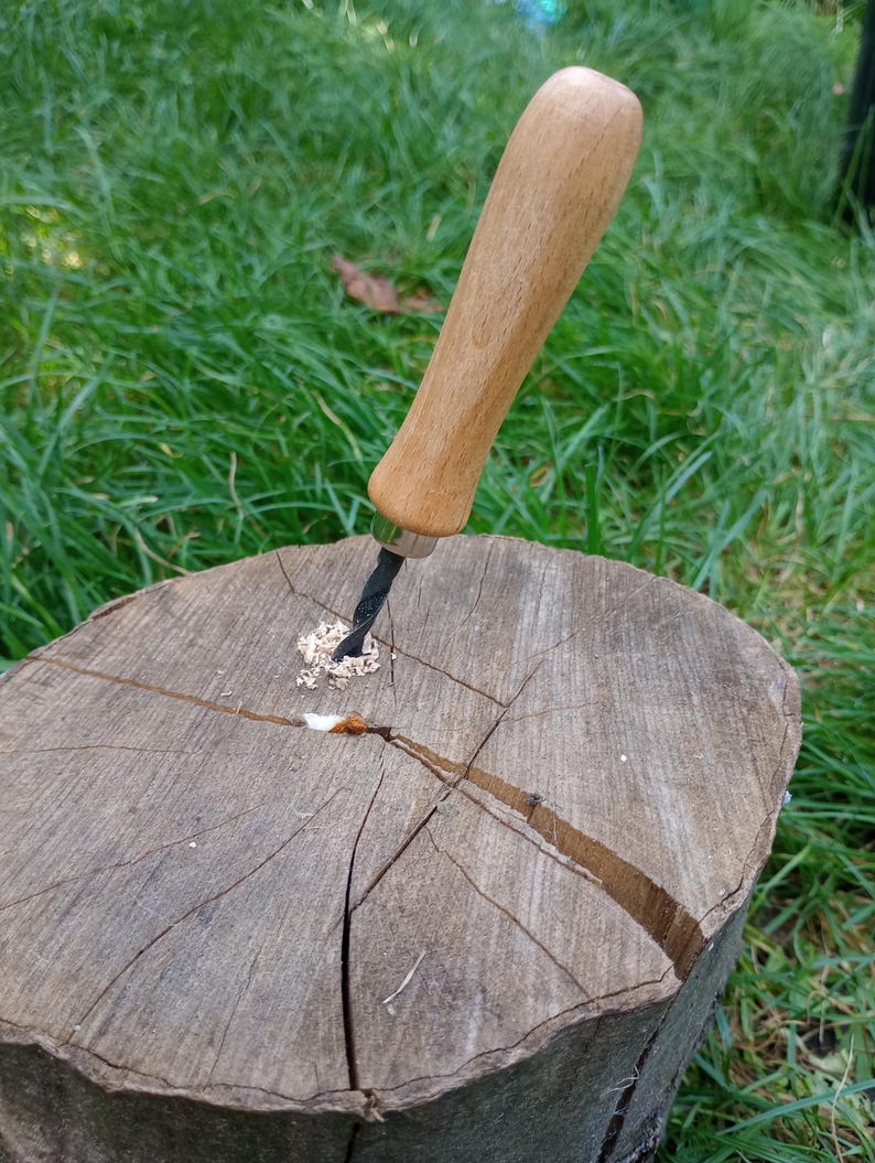 May include: A wooden handled auger drill bit is inserted into a tree stump. The drill bit is black with a light brown wooden handle. The tree stump is light brown with cracks and a hole where the drill bit is inserted. Green grass is in the background.