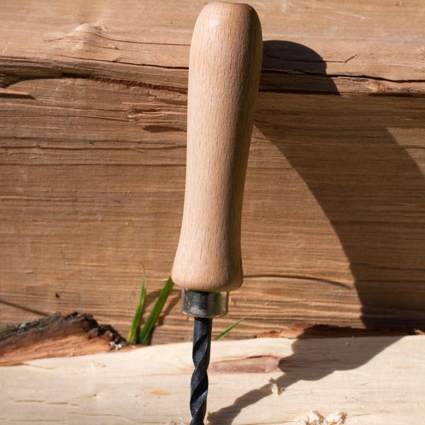 Ejercicios de palma para niños en la escuela del bosque/escuela de la naturaleza