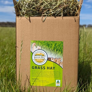Fresh Grass Hay 3Kg Box Rabbit Bunny Food Photo Inspiration