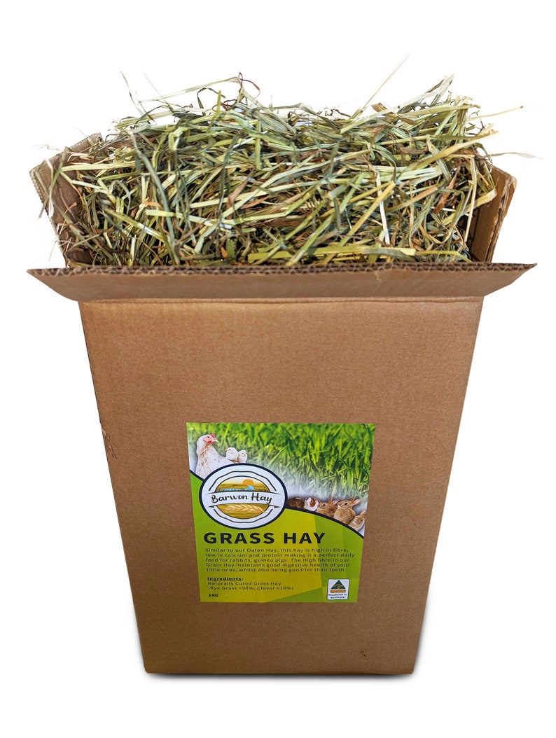 Photo inspiration: Gallery Detail: Fresh Grass Hay 3Kg Box Rabbit Bunny Food