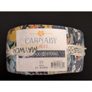 Carnaby Street Jelly Roll By Maywood Studio
