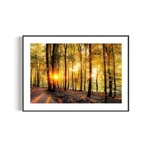 Fotografie "Abendrot" - Poster Wald Landschaft Sonnenuntergang Wandbild Wanddekoration Geschenk
