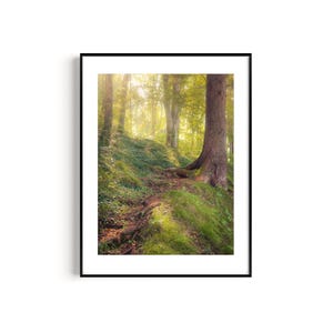 Poster Forest Landscape Photography &quot;Fog Forest&quot; - FineArt Print Forest Wall Decoration Mural Gift Art Print