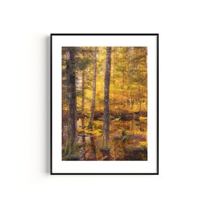 Poster Forest Landscape Photography &quot;Moor Forest&quot; - FineArt Print Wall Decoration Mural Decoration