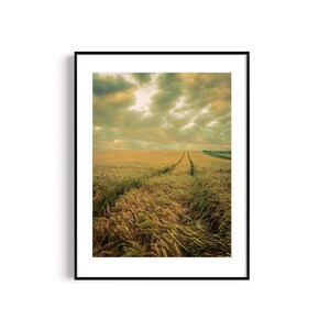 Poster Print, Landschaft Fotografie "Ährenfeld", digitaler Kunstdruck, Wanddekoration, Geschenk Weihnachten