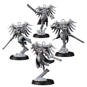 Divine Order Valkyrie Bundle With Large Chest