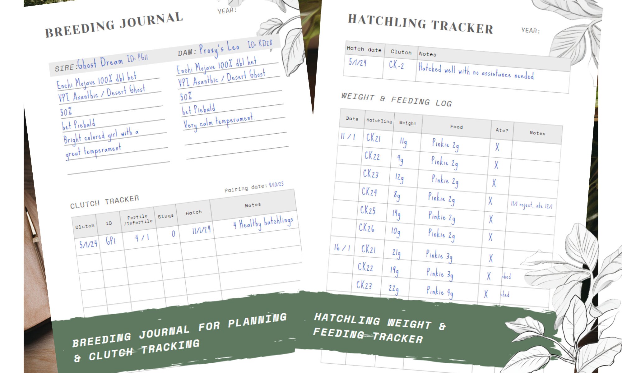 Ball Python Care Diary, Reptile Logbook Calendar A5 & US Letter Paper ...