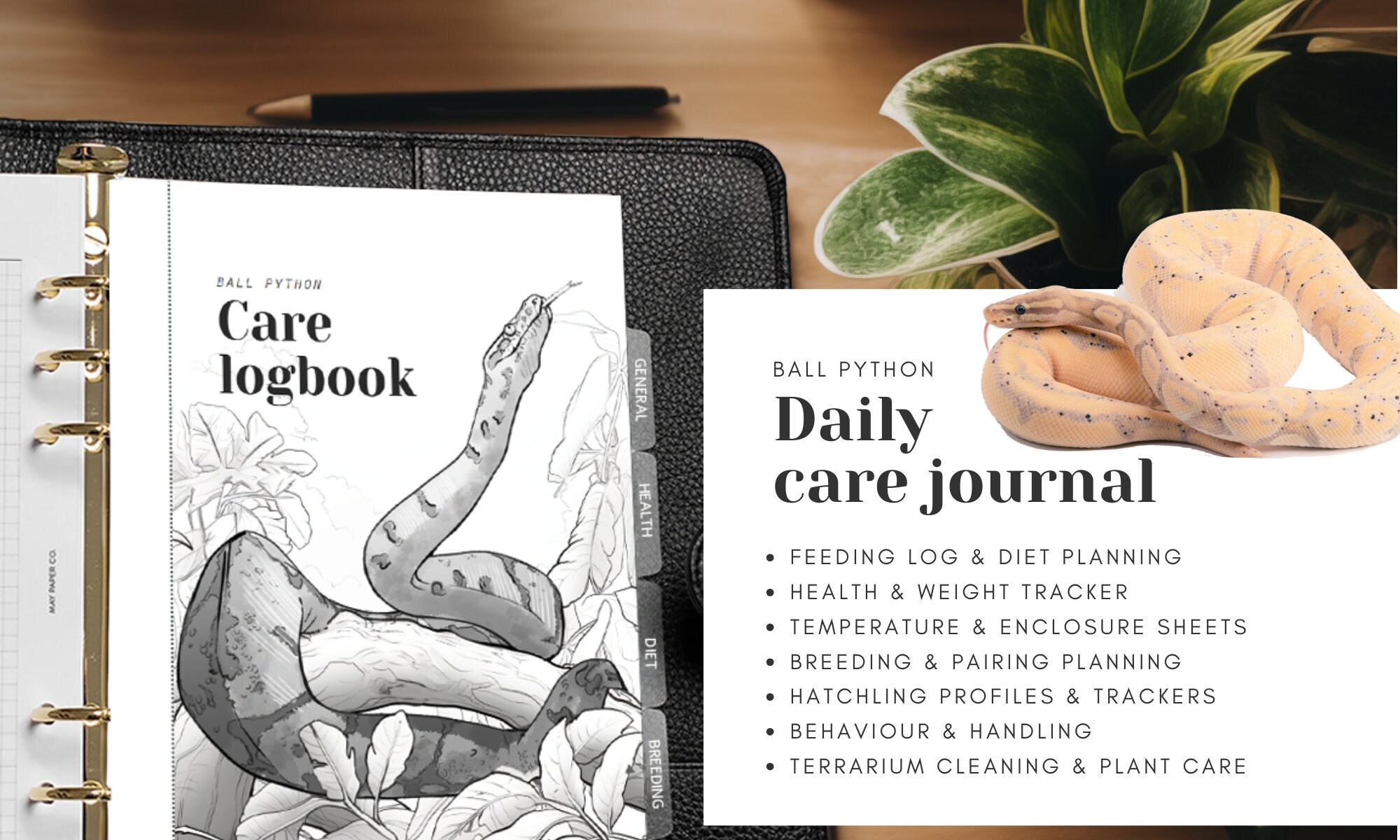 Ball Python Care Diary, Reptile Logbook Calendar A5 & US Letter Paper ...