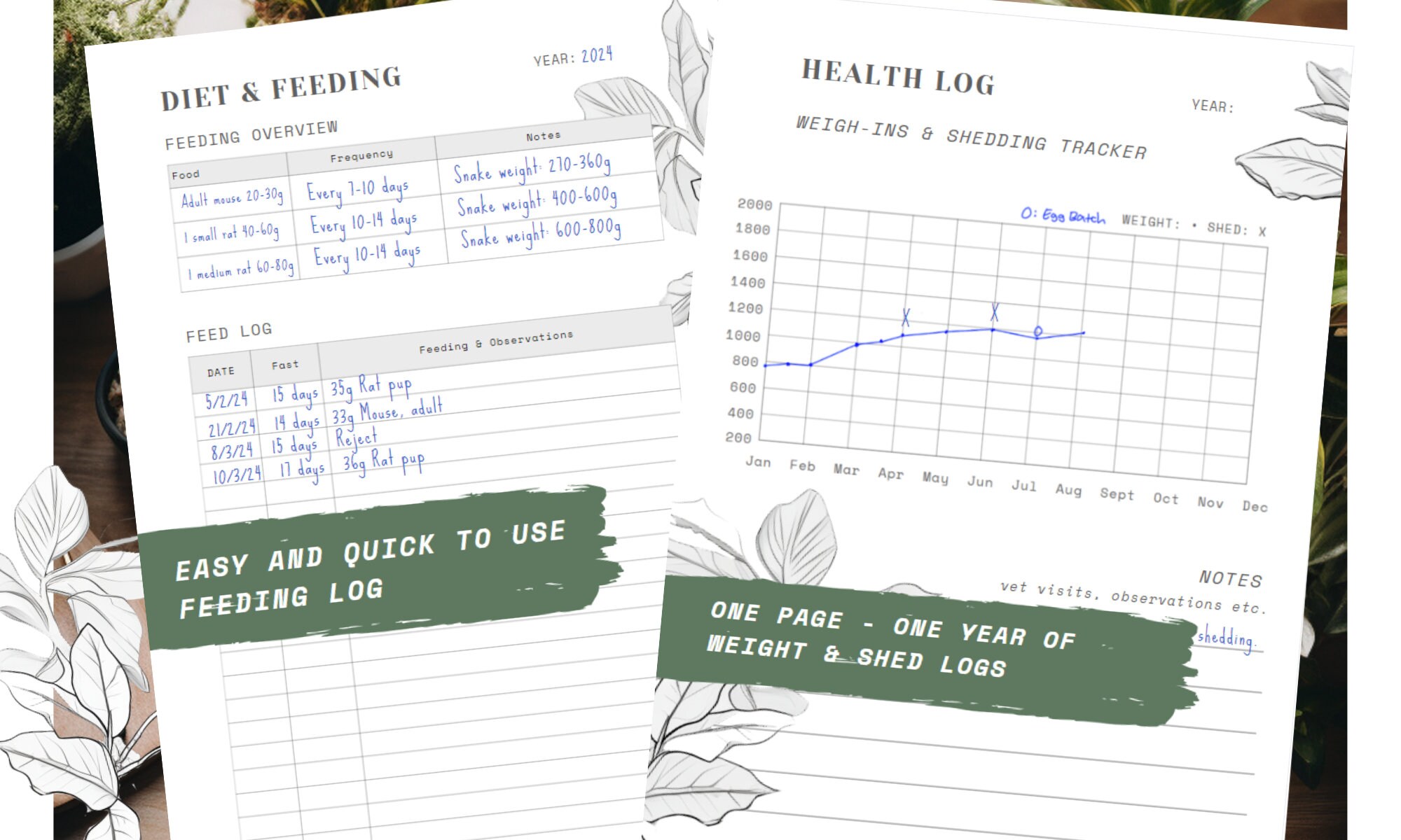 Ball Python Care Diary, Reptile Logbook Calendar A5 & US Letter Paper ...