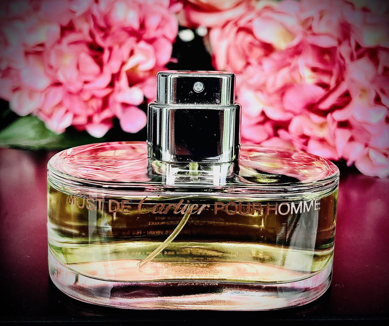 Cartier Must Pour Homme - Etsy