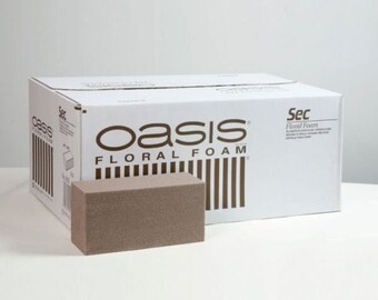 Oasis Dry Floral Foam x 20