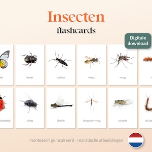 Puede incluir: Un conjunto de 12 tarjetas didácticas coloridas con diferentes insectos, incluyendo una mariposa, una mariquita, un escarabajo, una libélula y más. Las tarjetas didácticas están etiquetadas con los nombres holandeses de cada insecto. El texto "Insecten flashcards" y "Digitale download" también está incluido en la imagen.