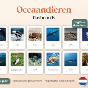 OCEAANDIEREN - 26 A6 Montessori FlashCards - Printables - Nederlands