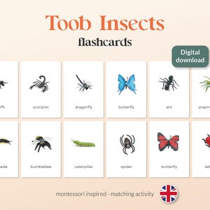Safari Ltd. TOOB INSETTI - 14 A6 Montessori carte abbinate - Stampabili - Inglese