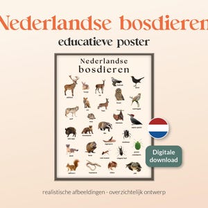 CARTEL HOLANDÉS DE LOS ANIMALES DEL BOSQUE | animales realistas | Cartel montessori