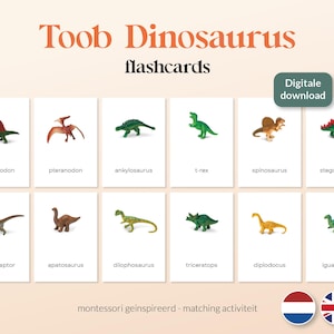 Safari ltd. TOOB Dinosaurs - 12 A6 Montessori Matching Cards - Printables - Nederlands/Engels
