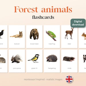 Op de afbeelding: Een set van 12 kleurrijke flashcards met illustraties van bosdieren, waaronder een merel, bobcat, bruine beer, boomkikker, hert, eekhoorn, konijn, egel, koolmees, egel, mol en das. De flashcards zijn gelabeld met de naam van elk dier in witte tekst op een zwarte achtergrond. De tekst "Forest animals flashcards" staat bovenaan de afbeelding in oranje tekst. De tekst "Digital download" staat in een groene box rechtsboven in de afbeelding.