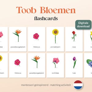 Safari ltda. FLORES DE TOOB - 8 tarjetas didácticas Montessori A6 - Actividad de emparejamiento - Imprimibles - Holandés