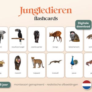 JUNGLEDIEREN - 22 A6 Montessori FlashCards - Printables - Nederlands