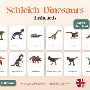 Op de afbeelding: Een set van 12 kleurrijke flashcards met verschillende soorten dinosaurussen, waaronder Tyrannosaurus Rex, Dilophosaurus en Triceratops. De flashcards zijn gelabeld met de naam van de dinosaurus en maken deel uit van een Montessori-geïnspireerde matching-activiteit voor kinderen van 4 tot 12 jaar.