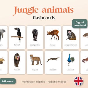 JUNGLE ANIMALS - 22 A6 Montessori FlashCards - Printables - English