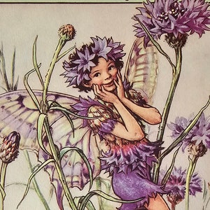 Flower Fairies, Cicely Mary Barker, The Cornflower Fairy, Fantasy Art, 80s Vintage Book Print, Bookplate