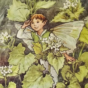 Flower Fairies, Cicely Mary Barker, Jack By The Hedge, Fairy, Fantasy Art, 80s Vintage Book Print, Bookplate