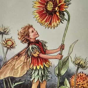 Flower Fairies, Cicely Mary Barker, The Gaillardia Fairy, Fantasy Art, 80s Vintage Book Print, Bookplate
