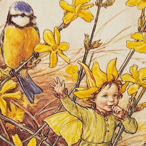Bloemenfeeën, winterjasmijnfee, Cicely Mary Barker, fantasyart, vintage ansichtkaart 1990