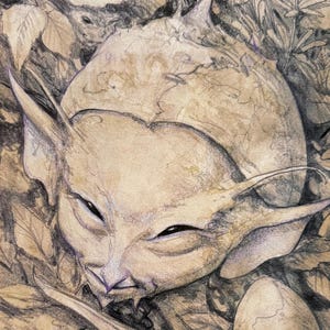 Könnte beinhalten: Bleistiftzeichnung einer fantastischen Kreatur mit großen Ohren und einem spitzen Kopf, eingebettet in Blätter. Die Kreatur hat ein katzenartiges Gesicht mit geschlossenen Augen und leicht geöffnetem Mund. Eine zweite, kleinere Figur mit spitzem Hut ist ebenfalls sichtbar.