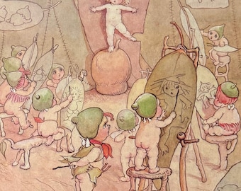 メイ・ギブス「ガムナット・ベイビーズ」ヴィンテージプリント