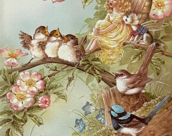 Shirley Barber, Faeries, Fairy, Fairies, Birds Singing In Tree, Fantasy Art, 2004 Vintage Book Print, Bookplate
