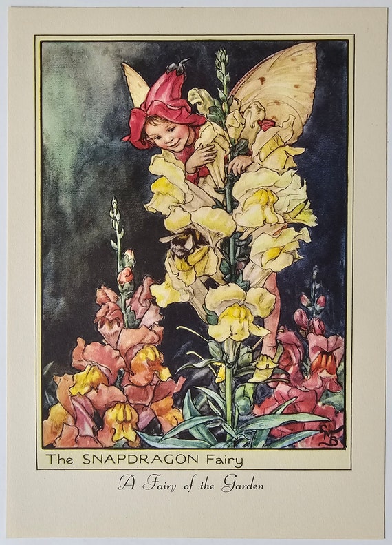 Flower Fairies, Cicely Mary Barker, the Snapdragon Fairy, Fantasy