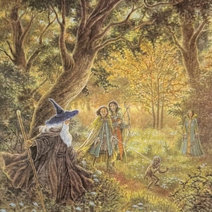 May include: A wizard in a long, dark robe and pointed hat leads three people through a forest. The wizard is holding a staff and the people are carrying bows and arrows. A small, furry creature follows behind them.