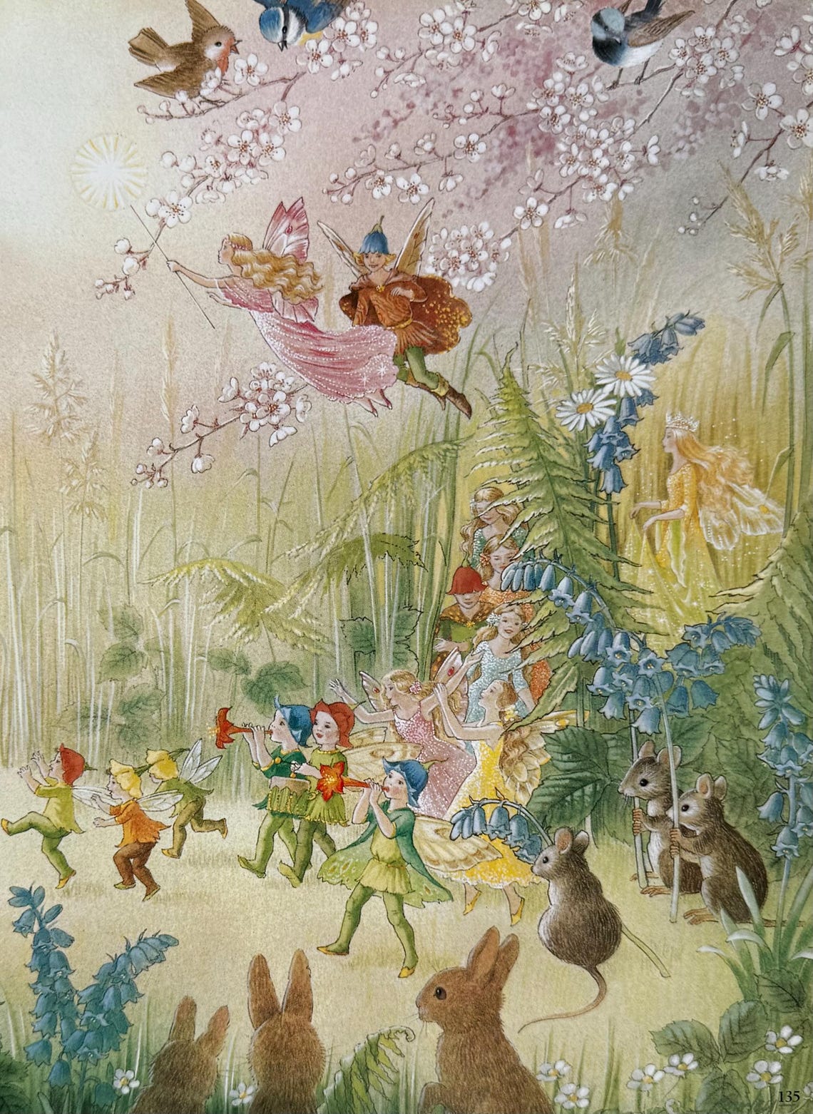 Shirley Barber, Faeries, Fairy, Carnival, Rabbits, Mice, Birds, Fantasy ...