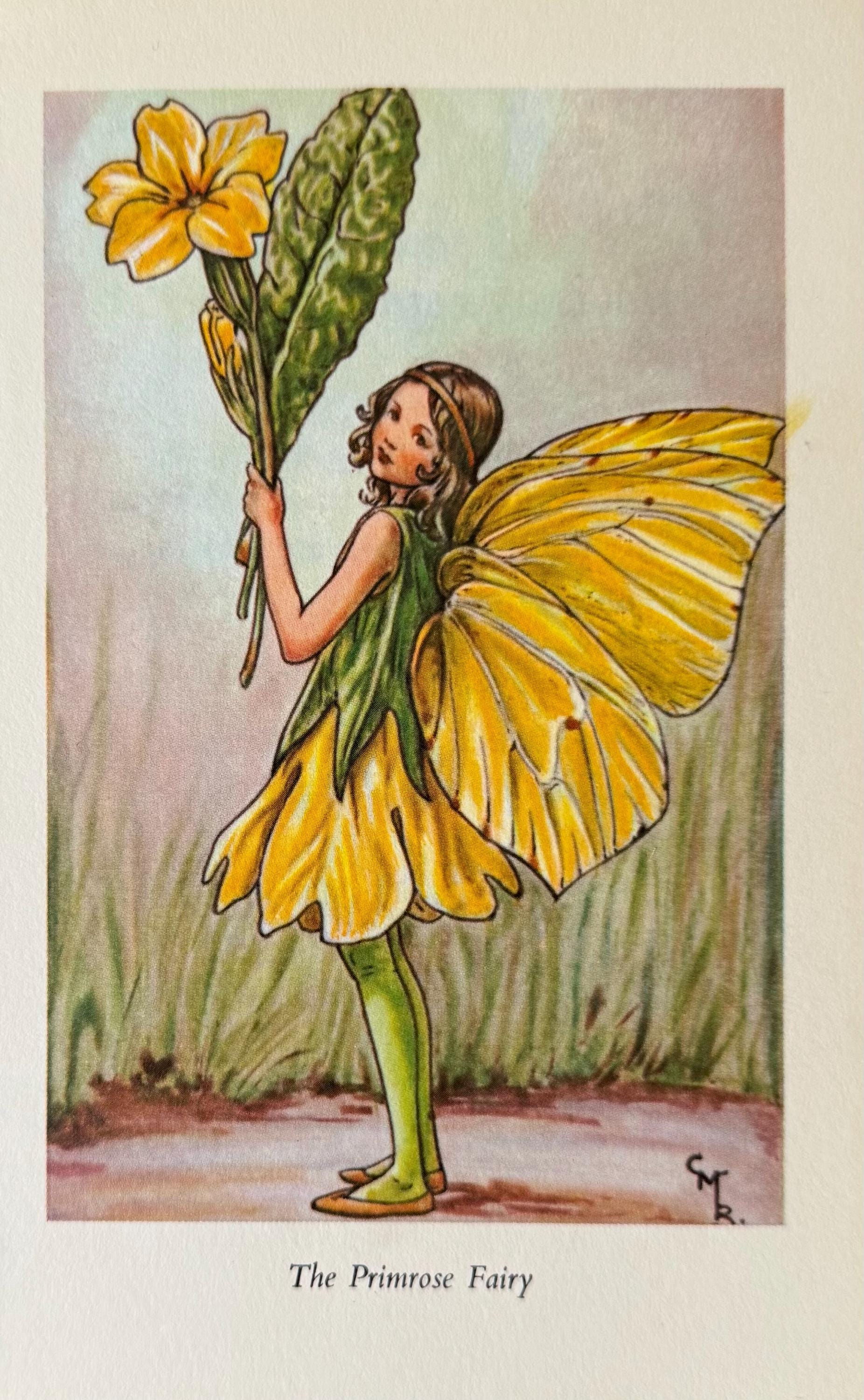 Flower Fairies, Cicely Mary Barker, the Primrose Fairy, Fantasy