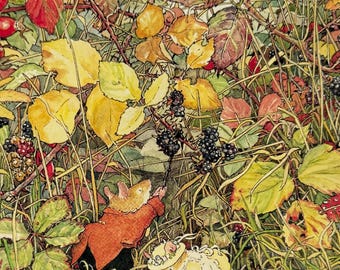 Brambly Hedge, The Blackberries Were Ripe For Picking, Mouse, Mice, 1999 Vintage Book Print, Bookplate