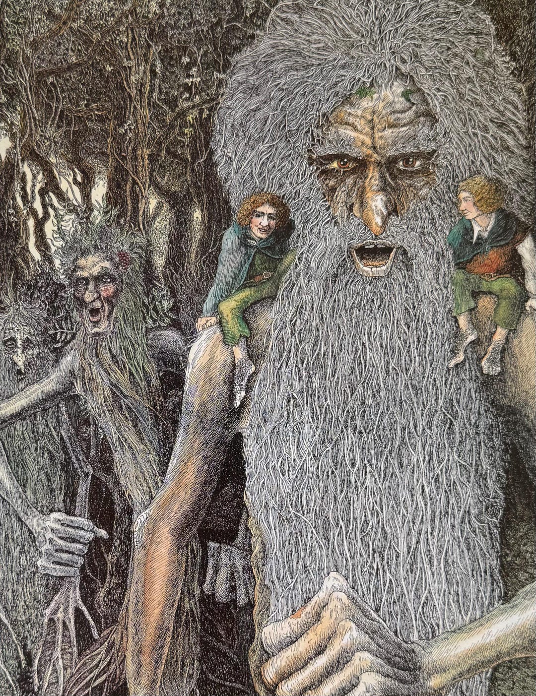 Treebeard and the Ents, Tolkien, Lord of the Rings, the Hobbit, Fantasy ...
