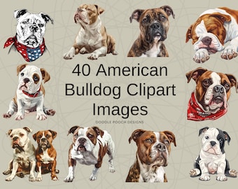 Bulldogge Clipart | Amerikanische Bully-Bilder | Hunderasse Clipart | 300dpi Clipart Kommerzielle Nutzung | Transparente PNG | Süsser Hund Clipart