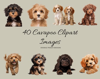 Cavapoo Clipart, Dog Breed Clipart, Watercolour Clip Art, Commercial Use, Dog Portrait Transparent PNGs, Cute Dog Clip Art, 40 Images