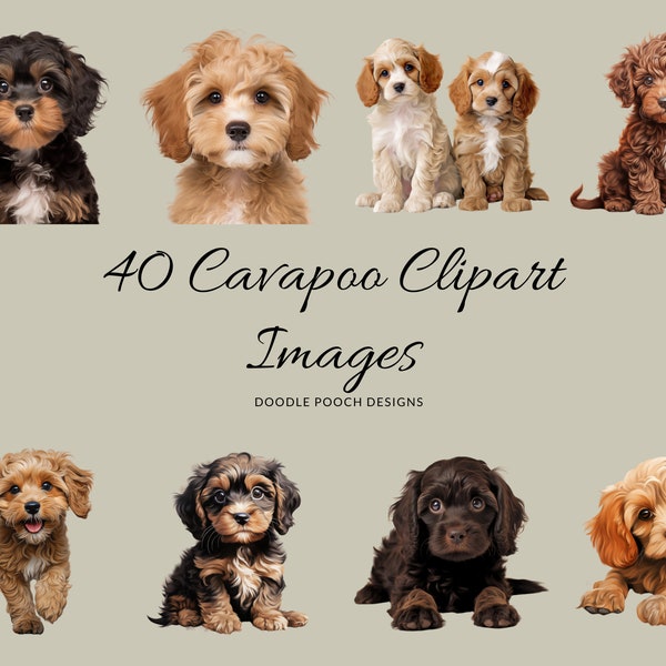 Cavapoo Clipart, Dog Breed Clipart, Watercolour Clip Art, Commercial Use, Dog Portrait Transparent PNGs, Cute Dog Clip Art, 40 Images