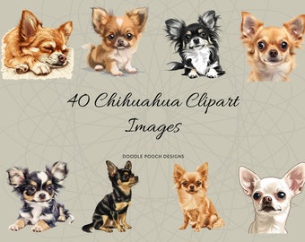 Chihuahua Clipart Bilder | Hunderasse Clipart | 40 Bilder zur Kommerziellen Nutzung | Hunde Portrait Transparente PNGs