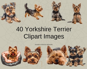 Op de afbeelding: Een verzameling van 40 Yorkshire Terrier clipart-afbeeldingen met verschillende houdingen van de honden, waaronder zittend, liggend en rustend in een hondenmand. De tekst 40 Yorkshire Terrier Clipart Images en DOODLE POOCH DESIGNS is zwart.