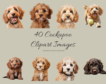Cockapoo Clipart, Dog Breed Clipart, Watercolour Clip Art, Commercial Use, Dog Portrait Transparent PNGs, Cute Dog Clip Art, 40 Images